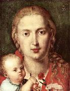 Albrecht Durer The Madonna of the Carnation USA oil painting artist